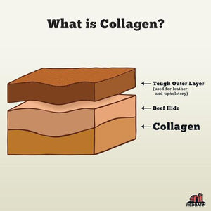 Collagen Ring - Medium