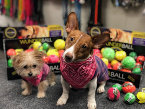 WACKY WUNDERBALL - Best Fetch Toy