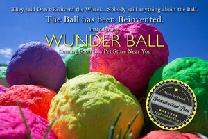 WACKY WUNDERBALL - Best Fetch Toy